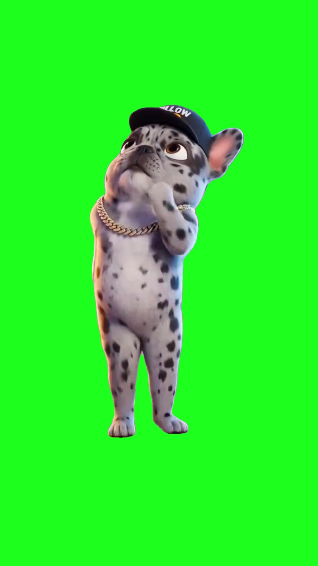 Dog Mink Dance green screen