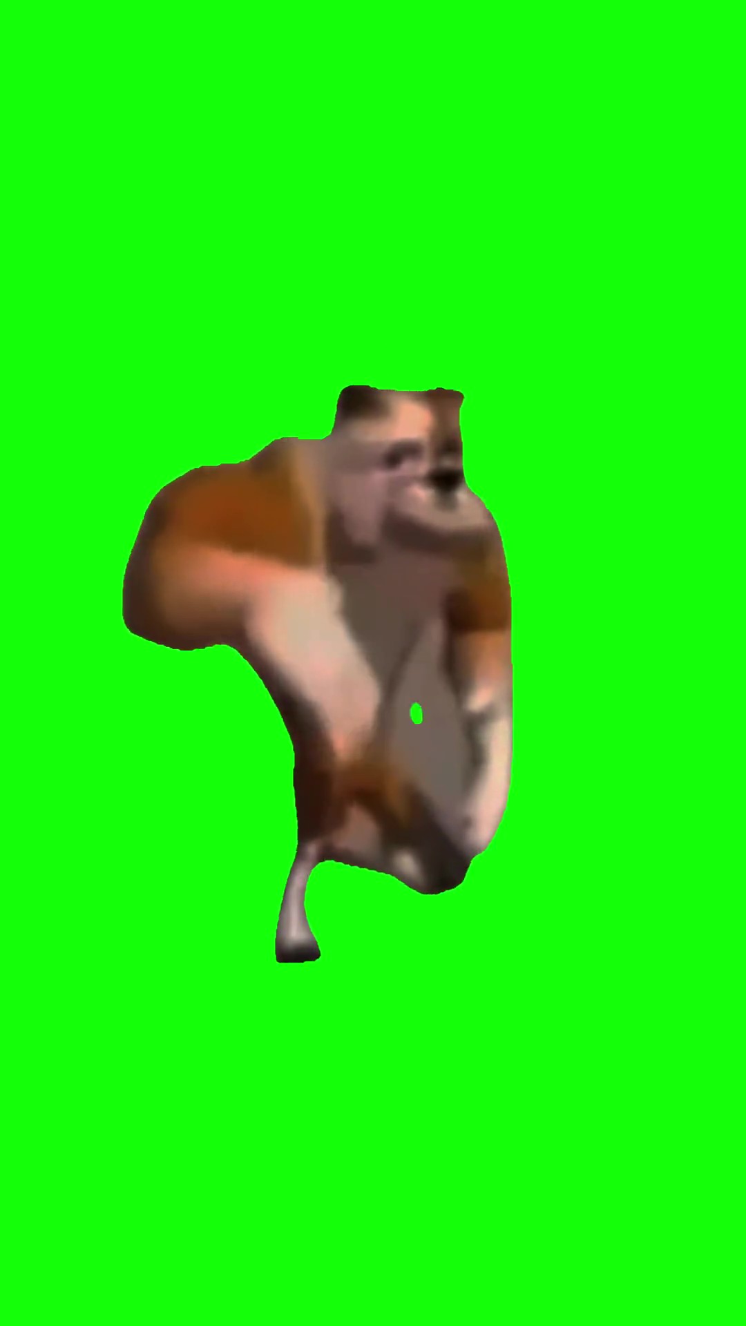 Dog Rappers green screen