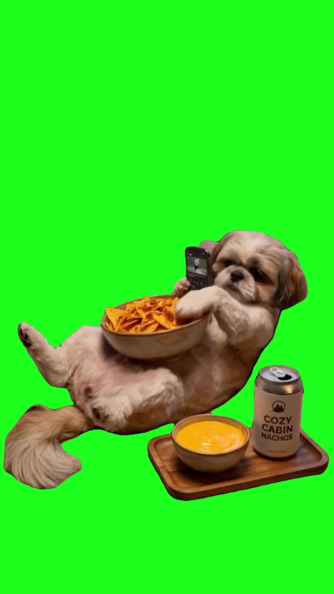Dog snacking on couch green screen