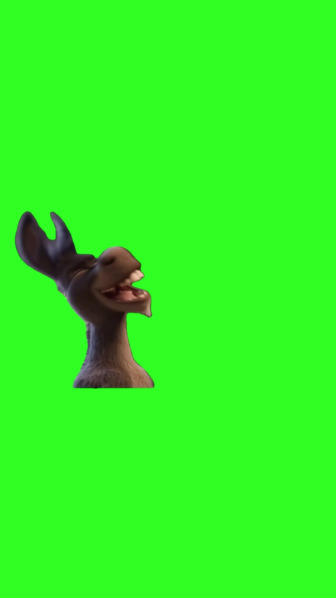 Donkey Sings green screen
