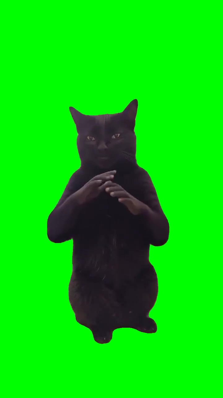 Dont brush me green screen