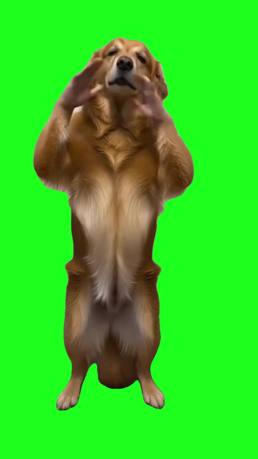 Dont grab me 