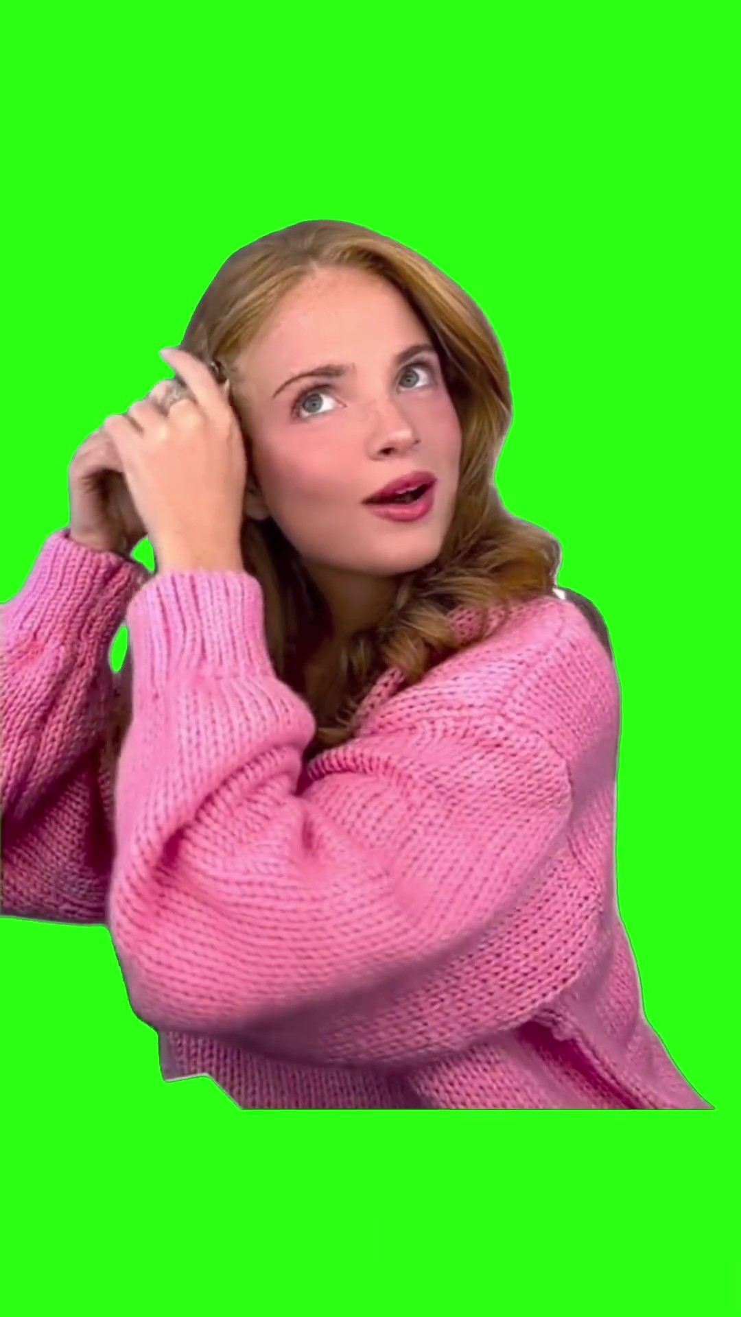 Dropkicked Someone’s Puppy green screen