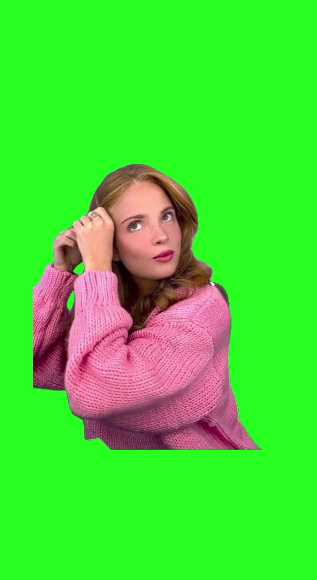 Dropkicked Someones Puppy green screen