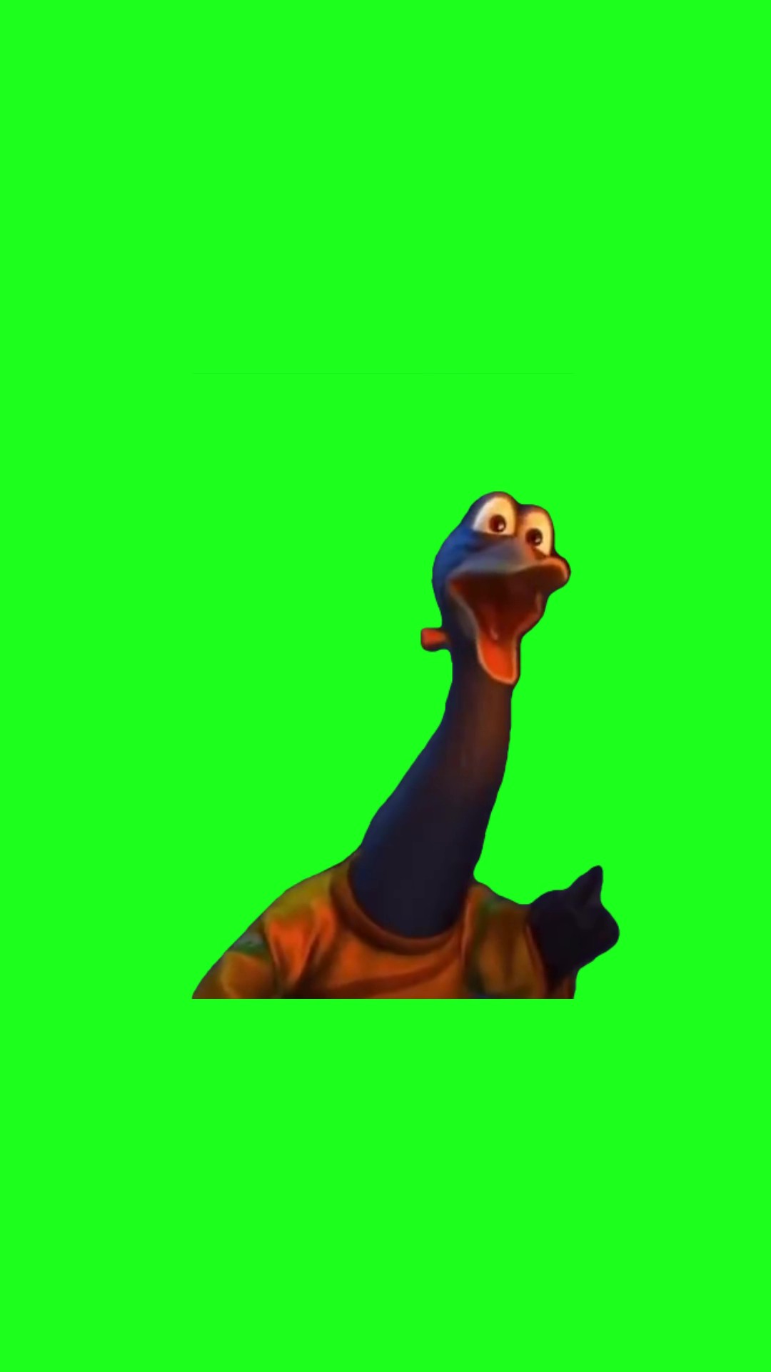 Duck hesitates  green screen