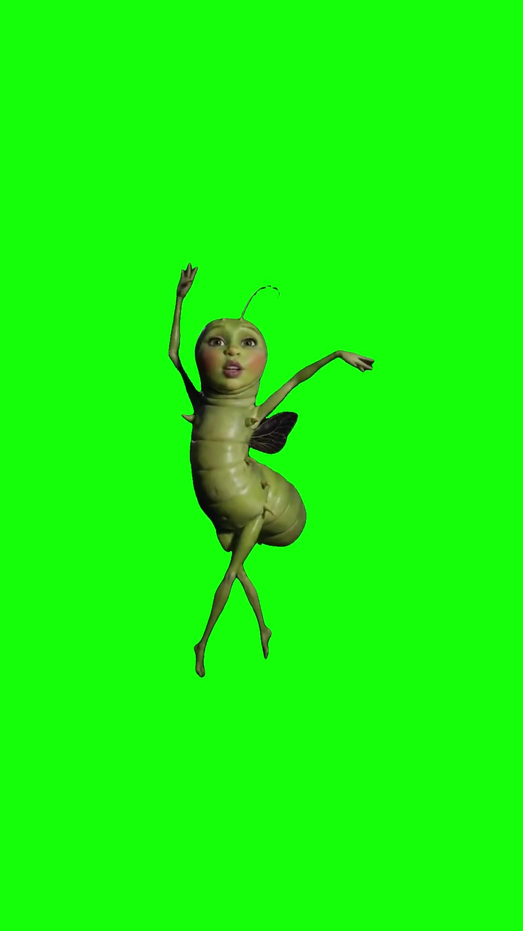 Elf Caterpillar Dancing green screen