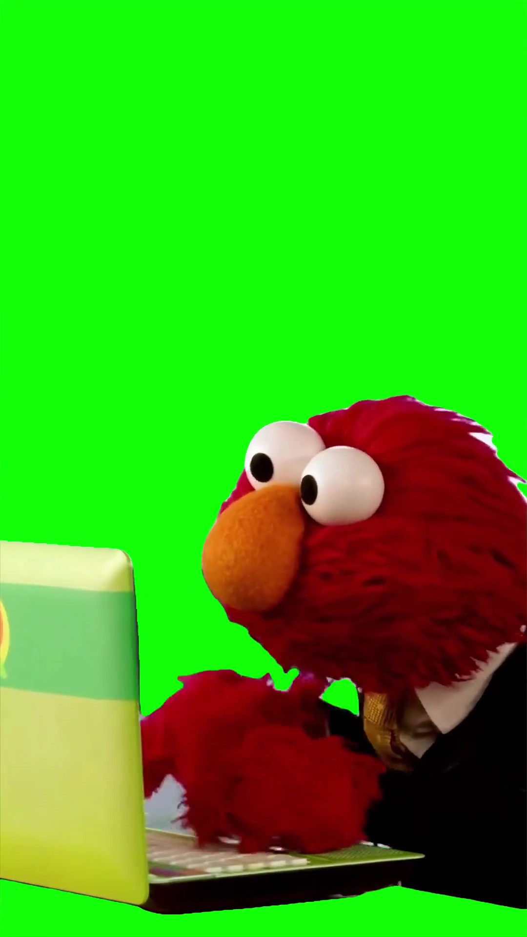 Elmo typing on computer  green screen