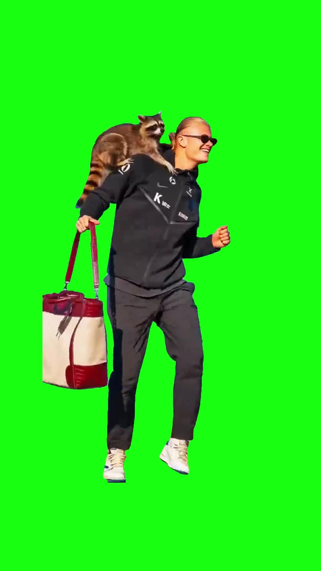 Erling Haaland Dancing with a Raccoon green screen