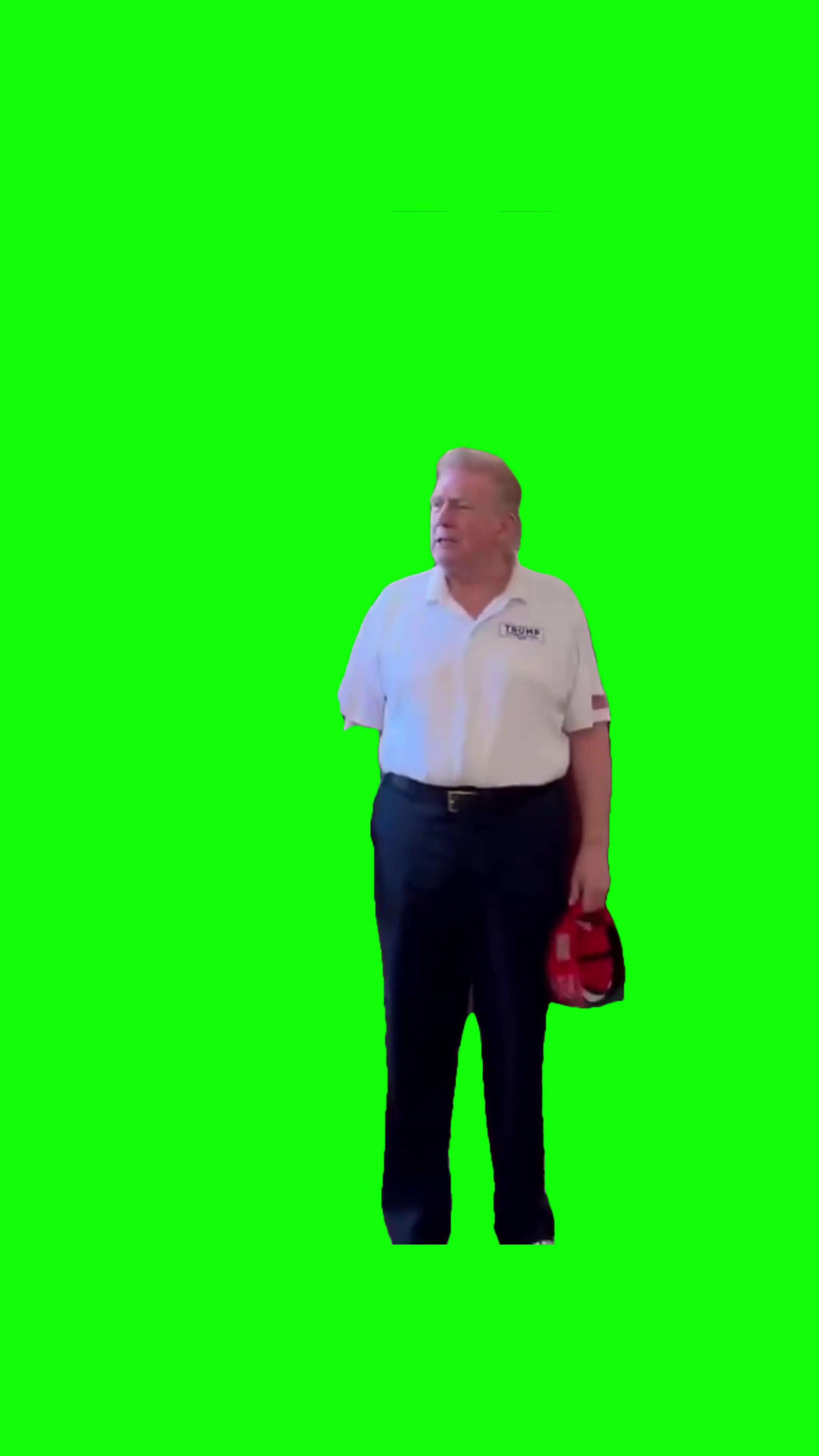 Everybody having a good time green screen