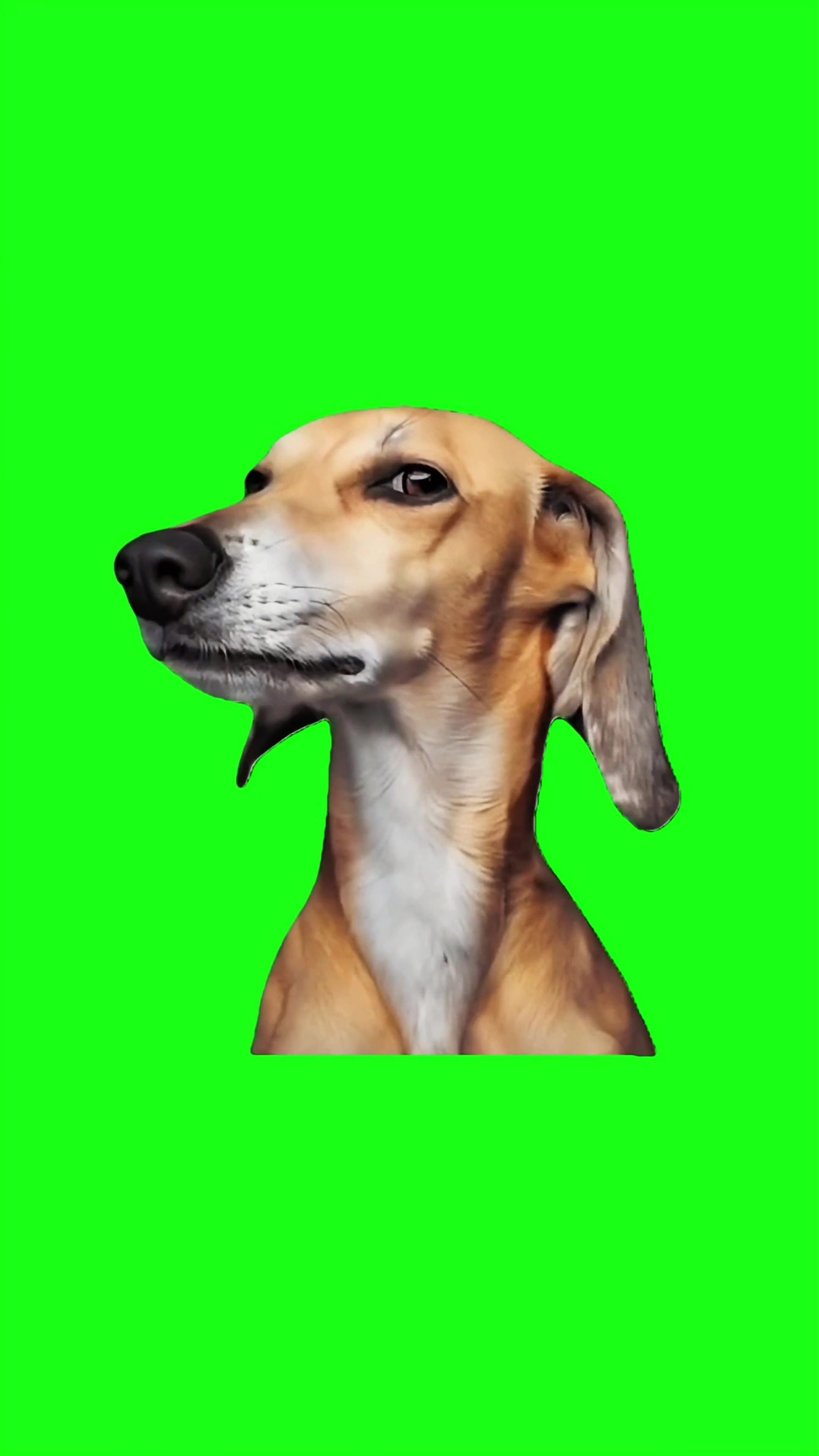 Evil smile green screen