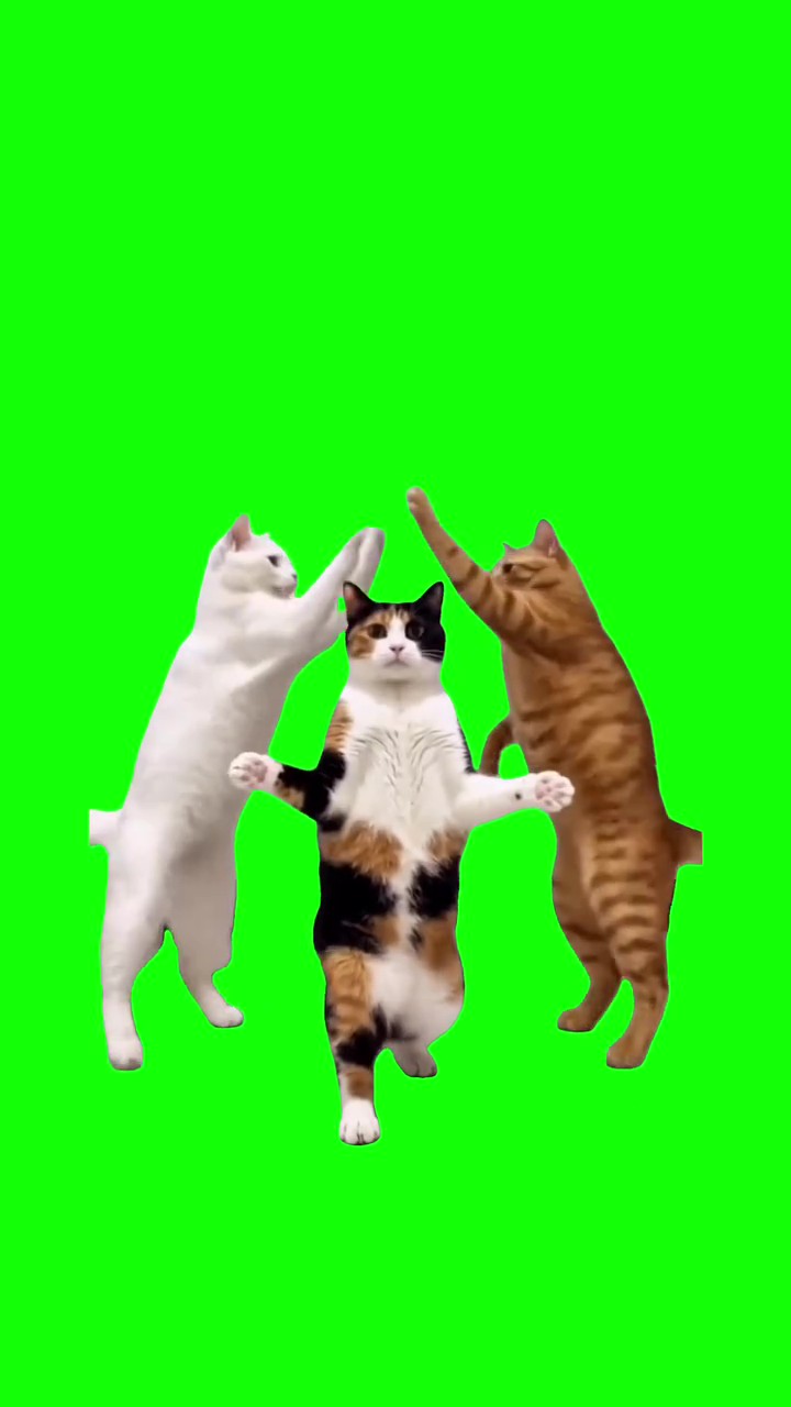 Fatchi Fatchi green screen