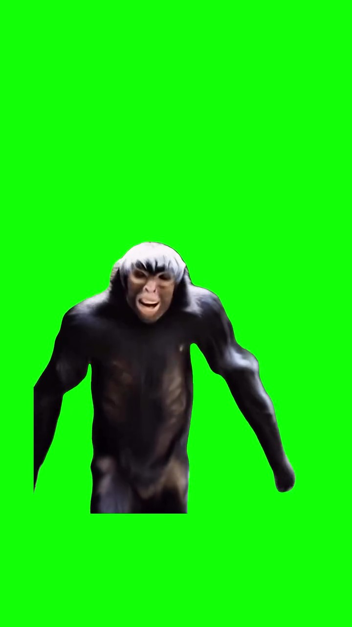 Fogu Fogu green screen