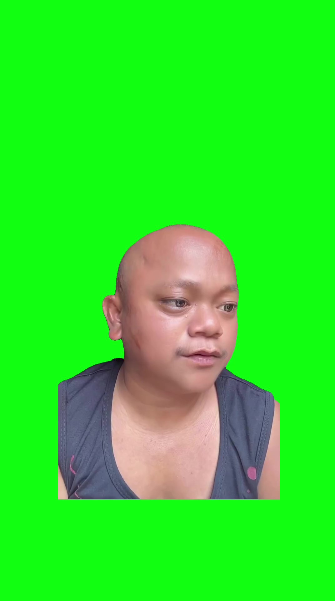 Gangnam style cover green screen