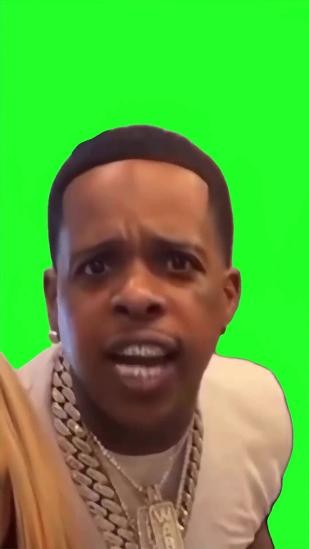 Get your punk a home green screen