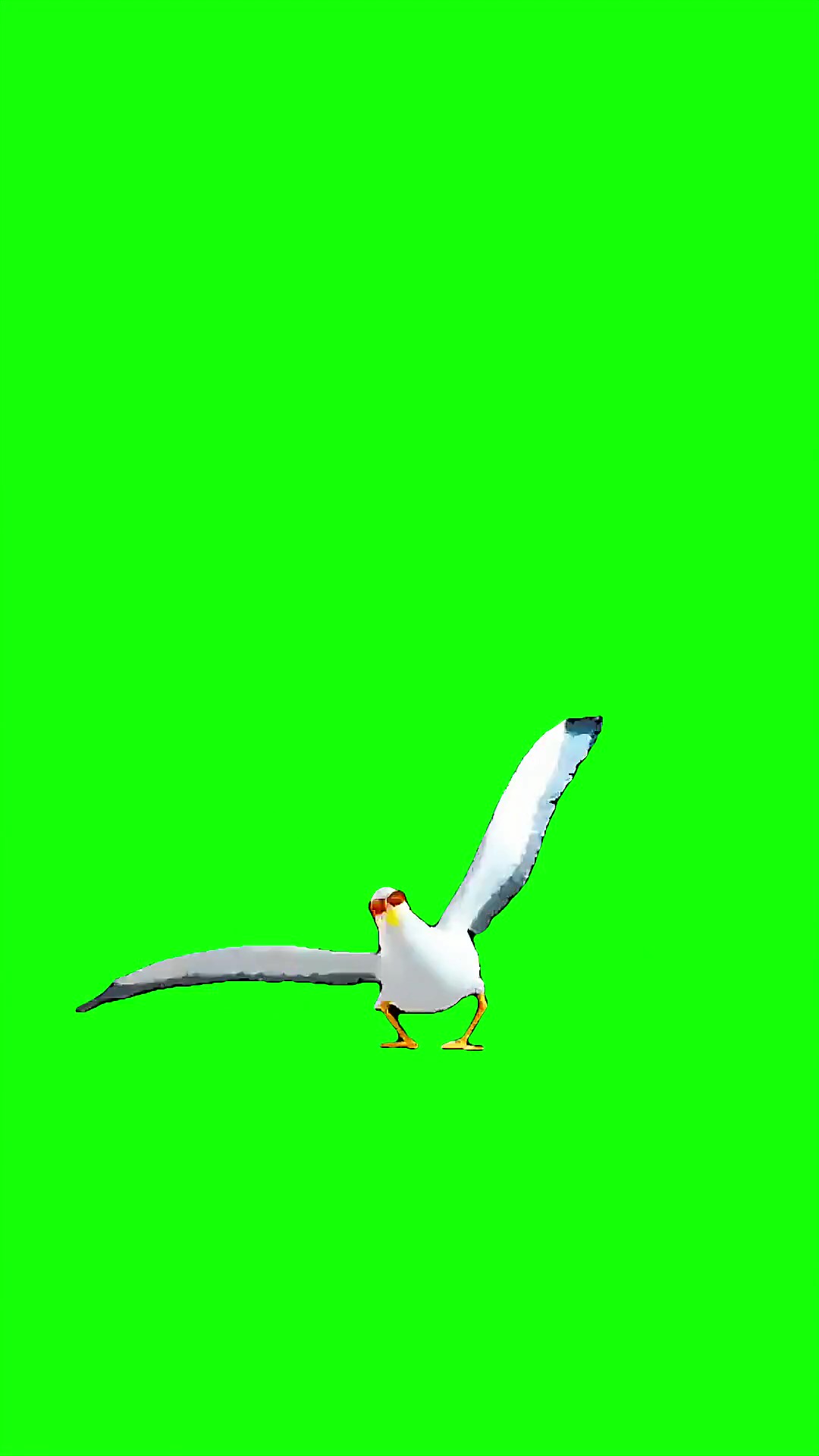 Gmod seagull dancing green screen
