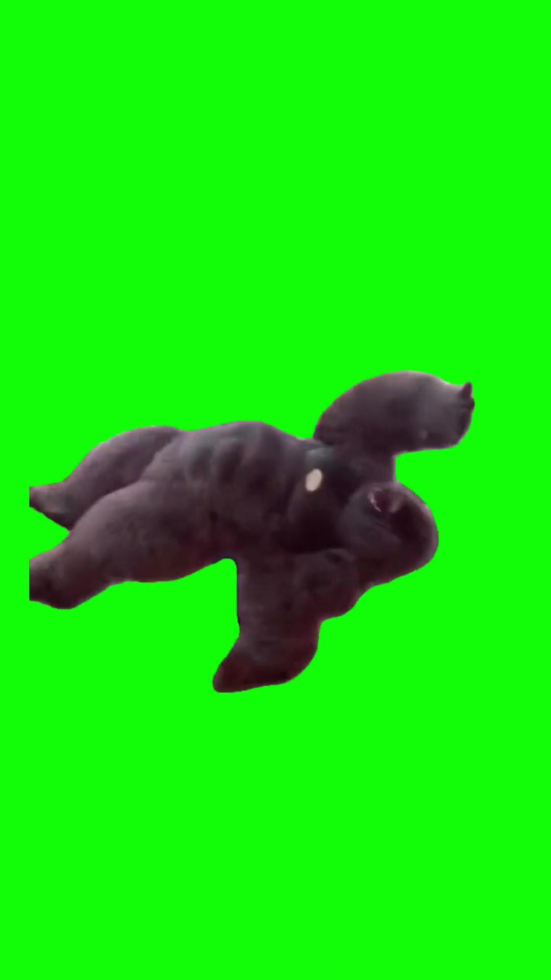 Gorilla Break Dancing green screen
