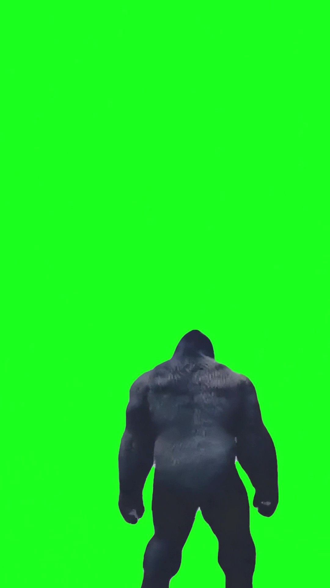 Gorilla Dance green screen