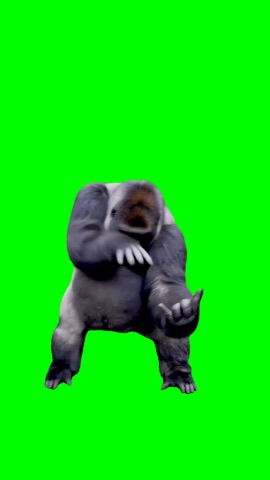 Gorilla Dance To Layoo green screen