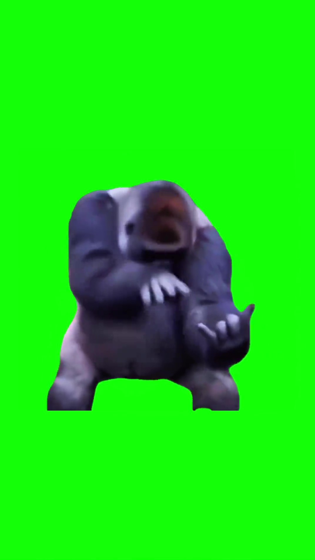 Gorilla dancing green screen
