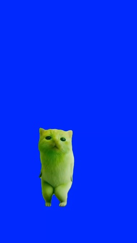 Green Cat Bubble Dance Trend green screen