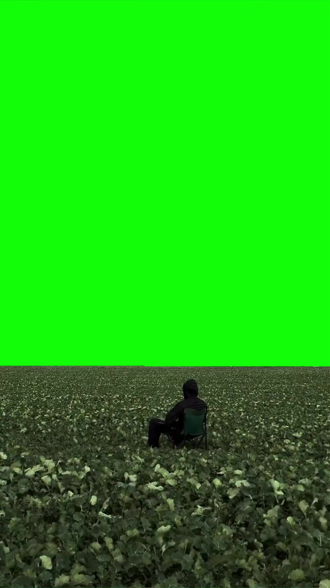 Green screen sky green screen