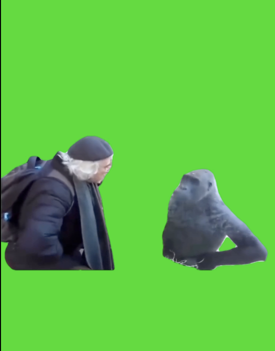 Guy Talking With Monkey green screen