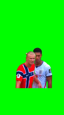 Haaland Bromance green screen