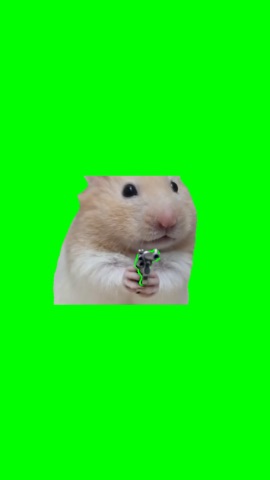 Hamster Holding A Gun Crying green screen
