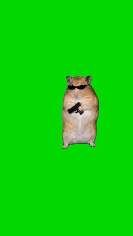 Hamster Points A Gun And Shoots green screen