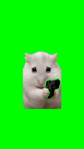 Hamster Stick Up green screen