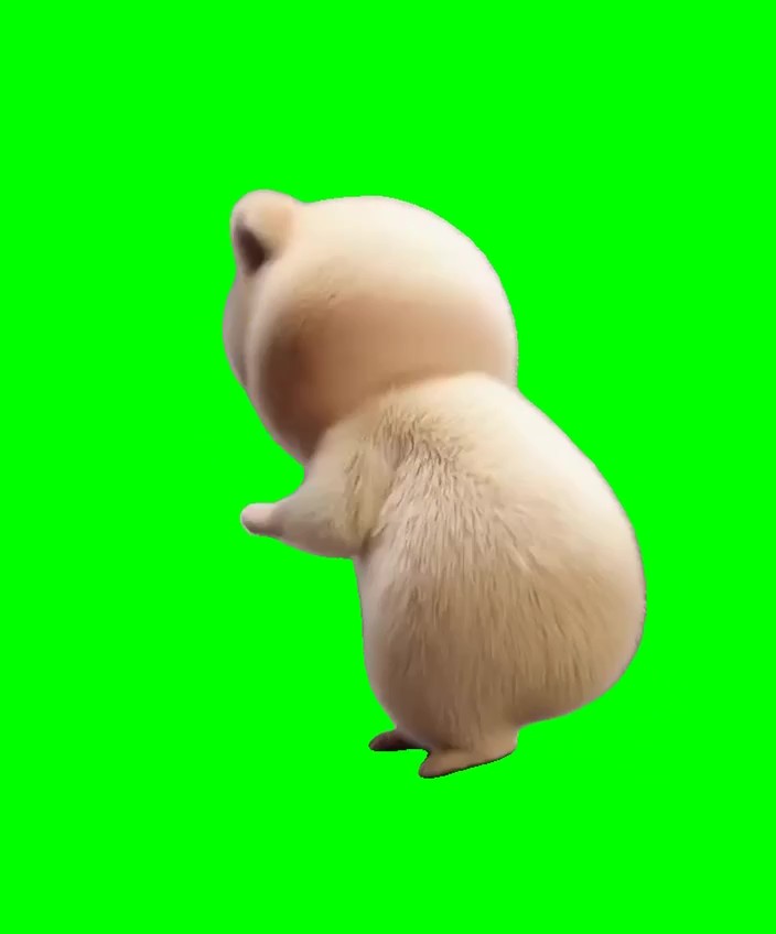 Hamster beauty and the beat dance green screen