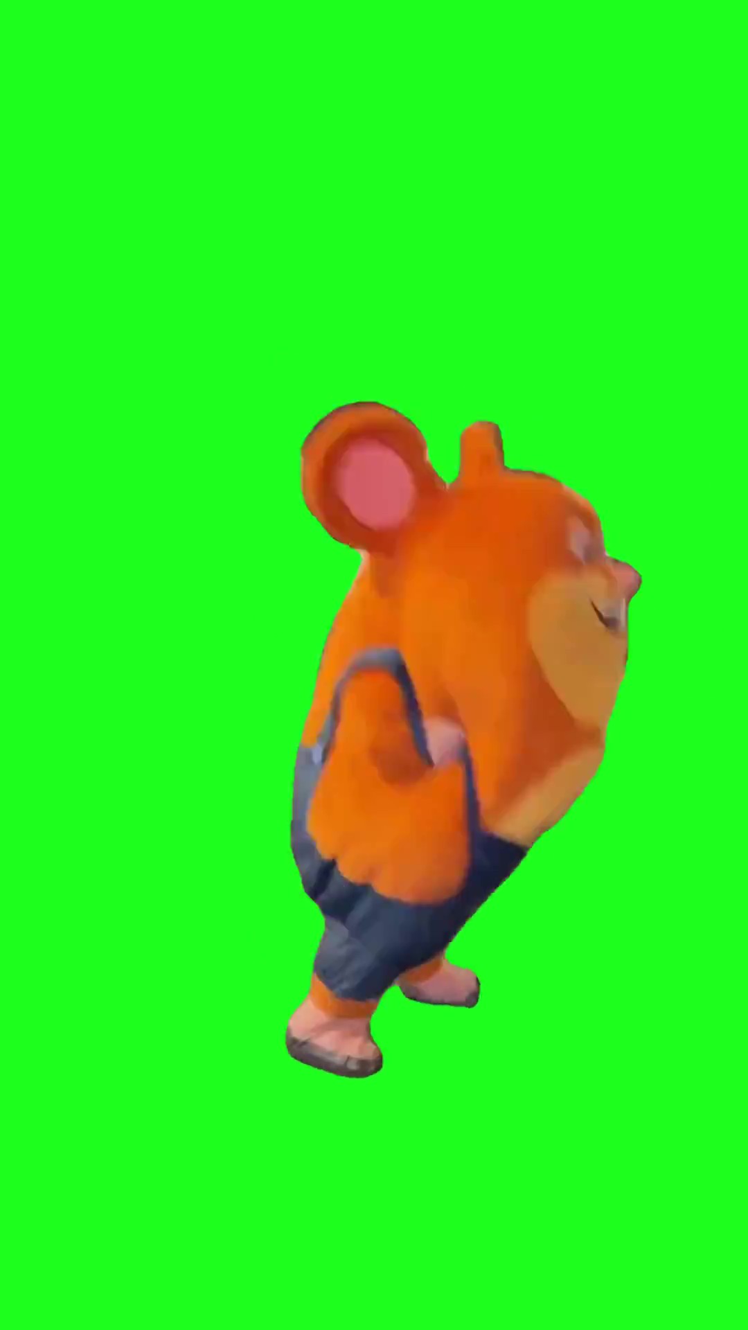 Hamster dancing green screen