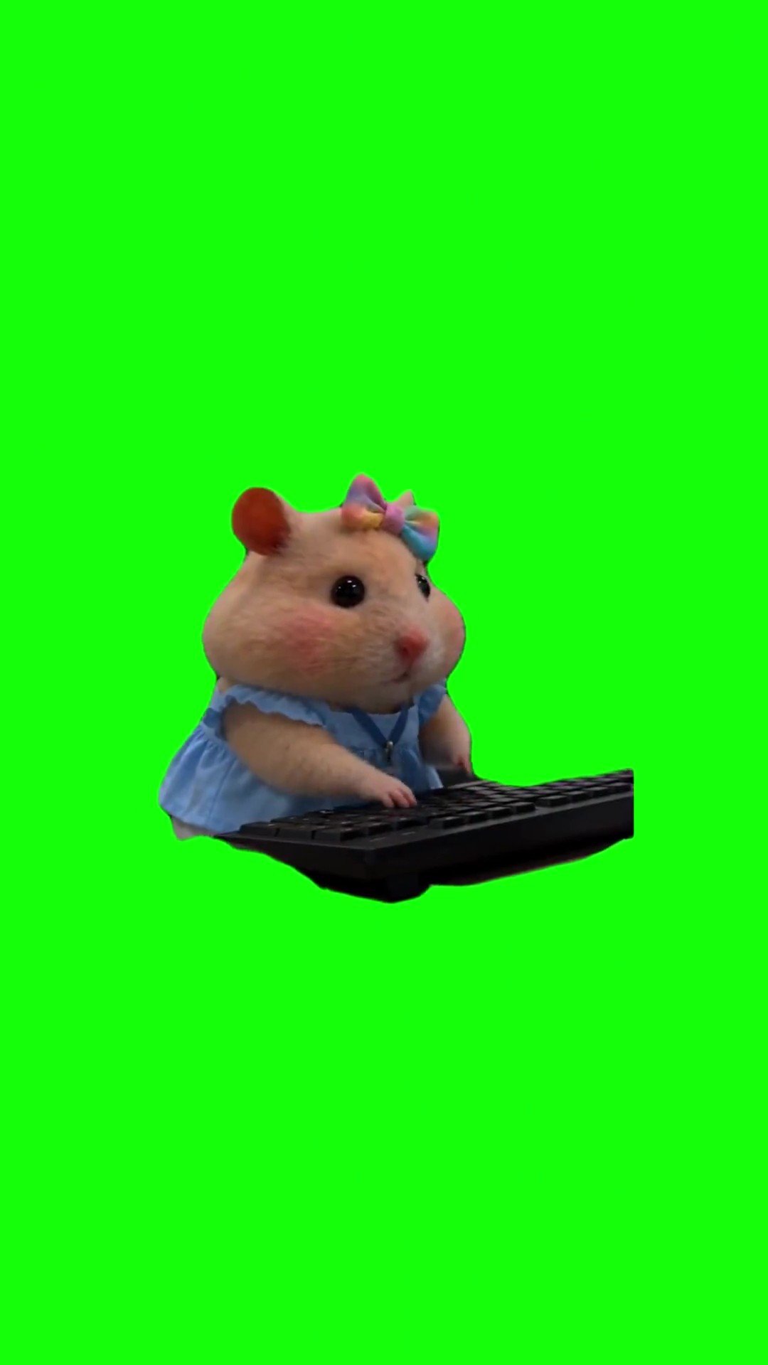 Hamster hits keyboard green screen