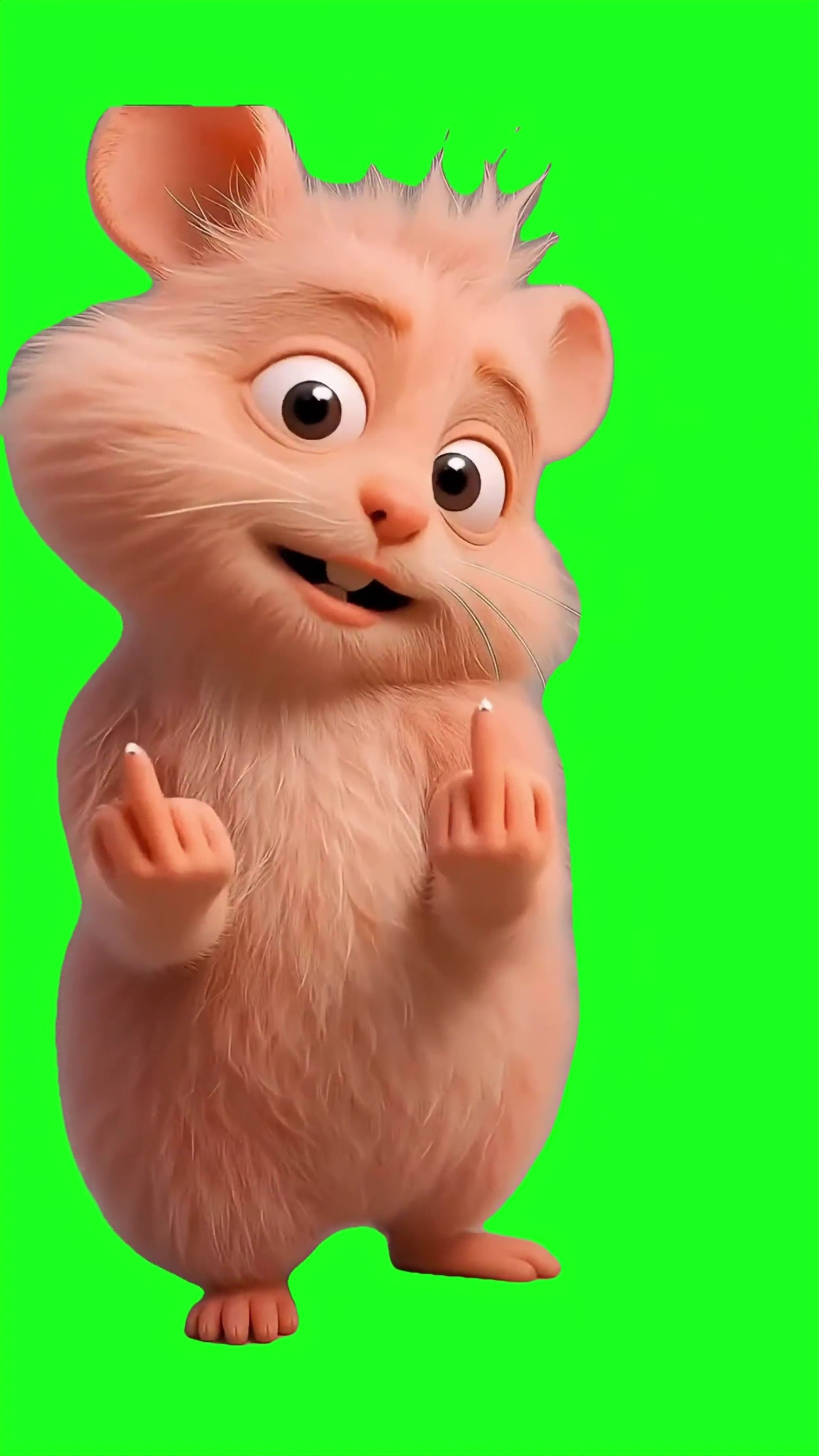Hamsters showing finger green screen