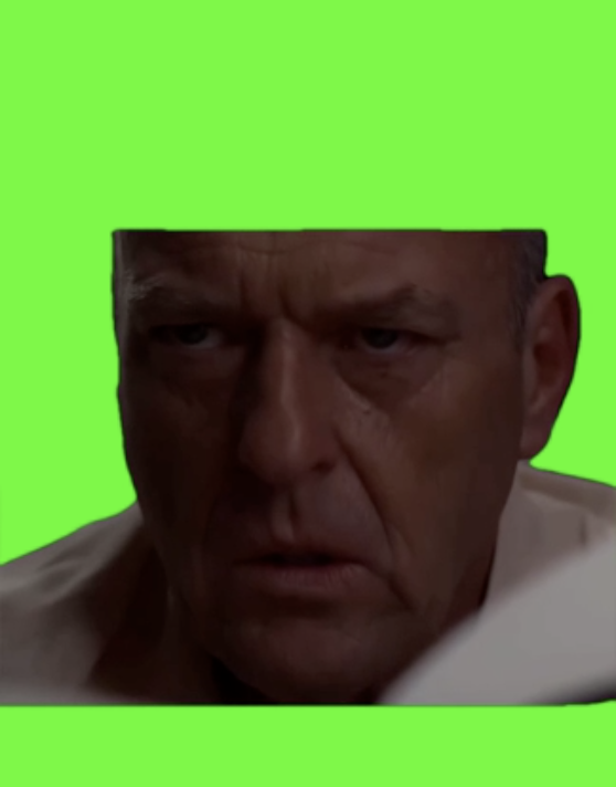 Hank Realization green screen