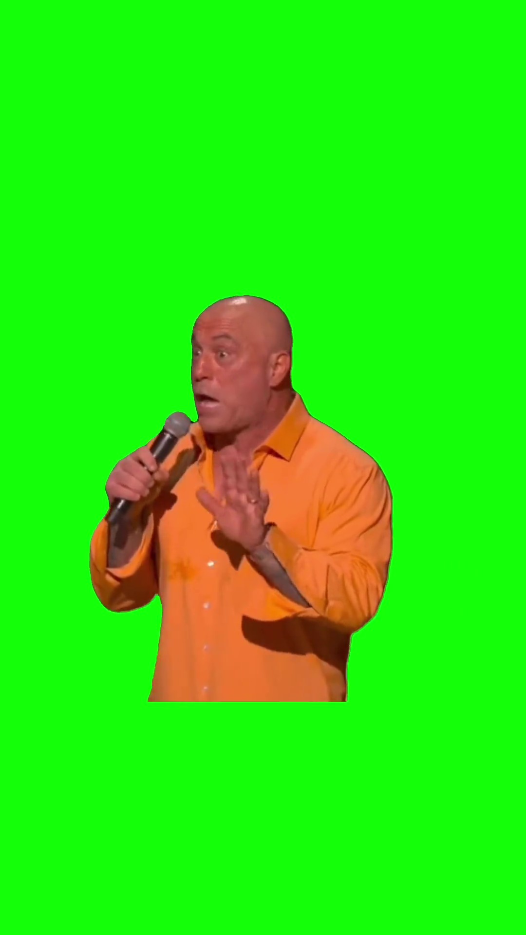 He’s Right About a Lot of Things green screen
