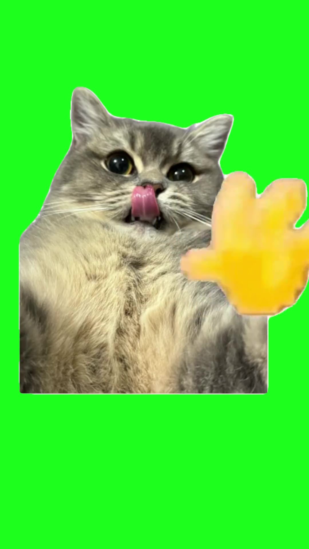 Hello green screen