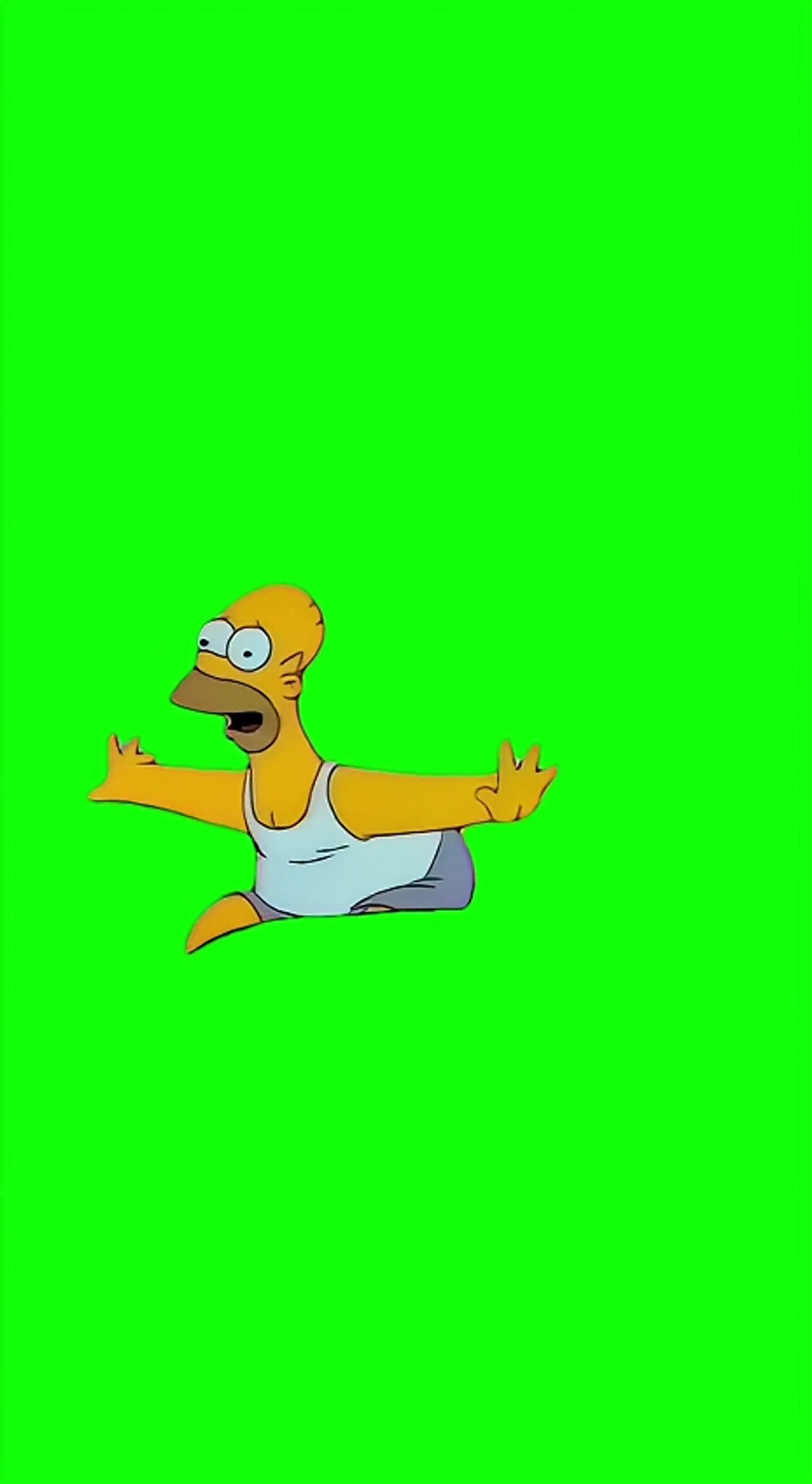 Homer  im Making people happy green screen