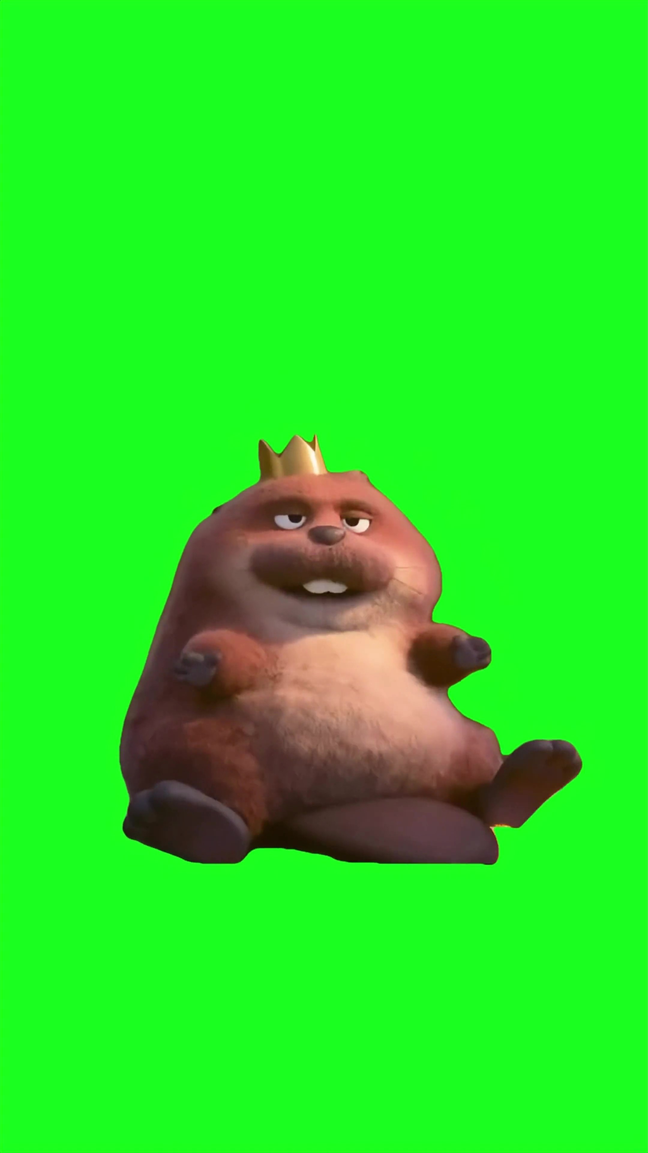 Hoppers beaver sitting down green screen