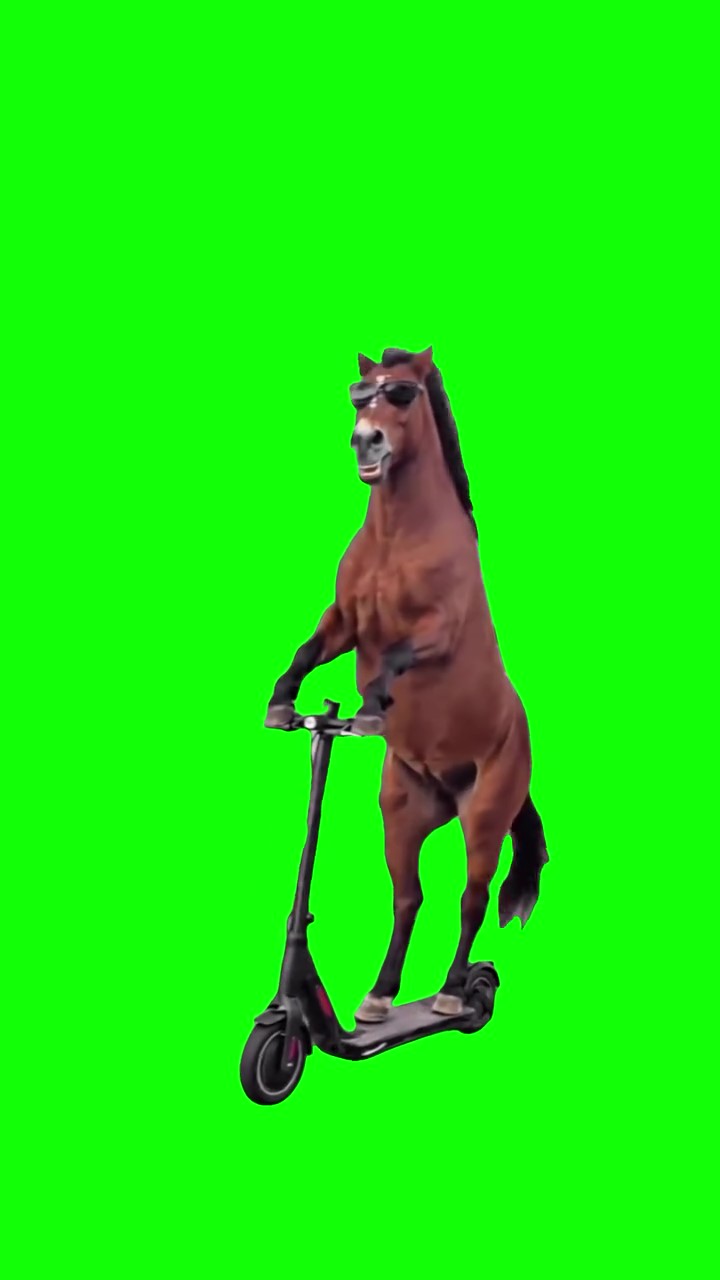 Horse Riding green screen