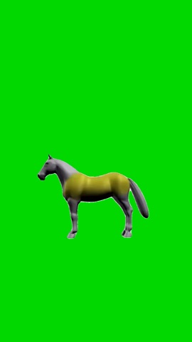 Horse Shacking green screen