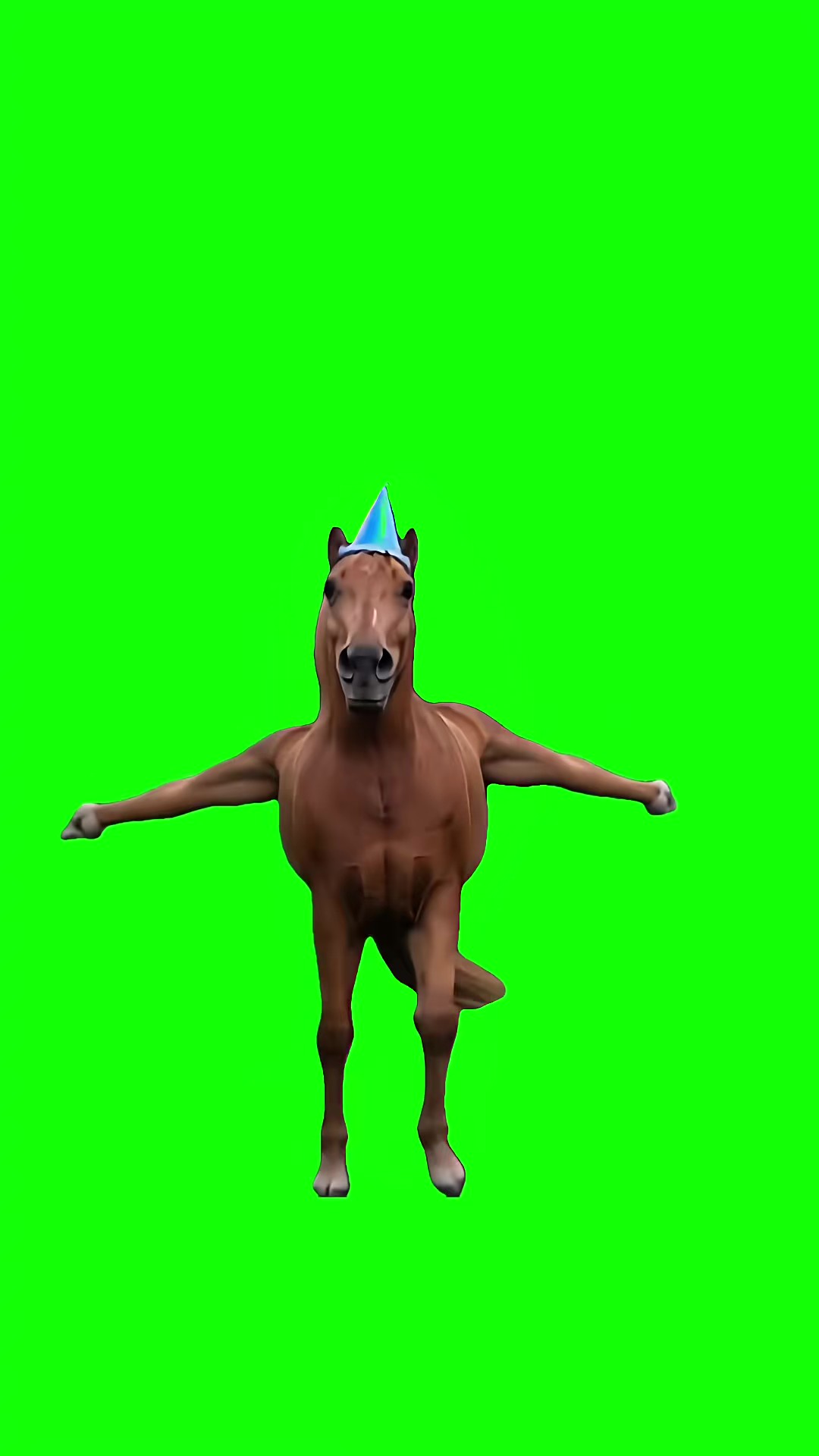 Horse Vibe green screen