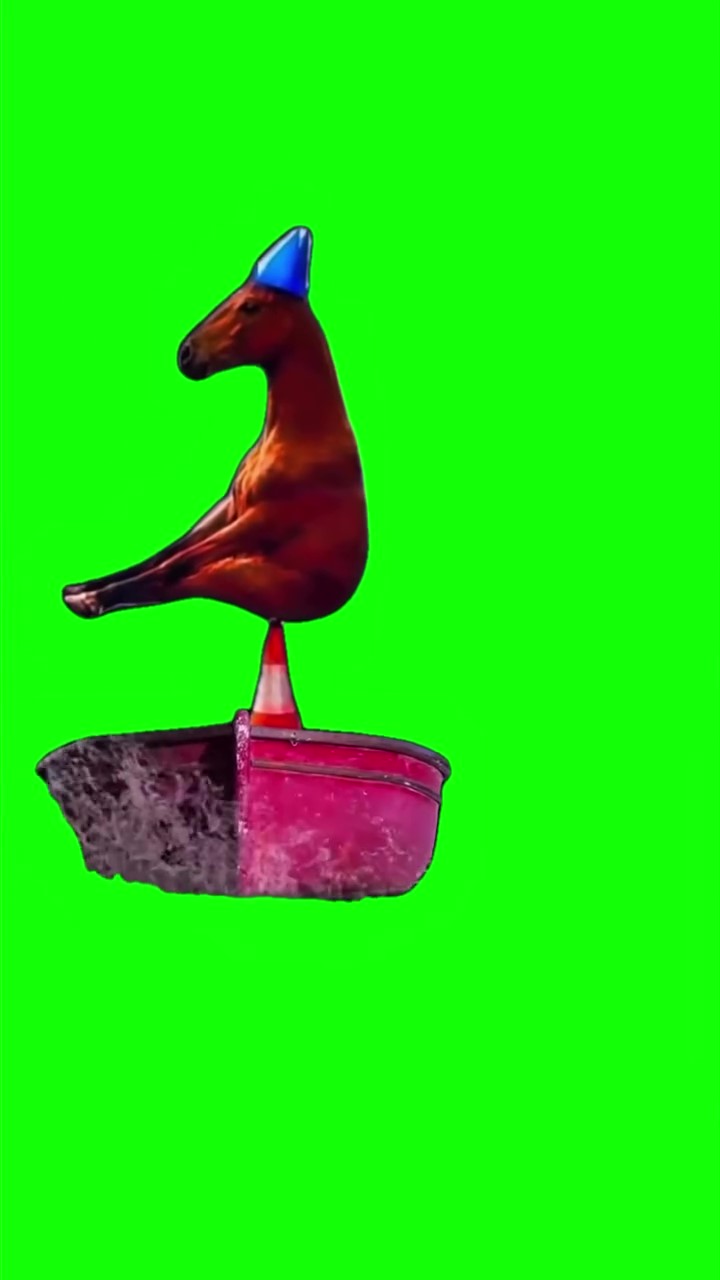 Horse on Three Boats green screen