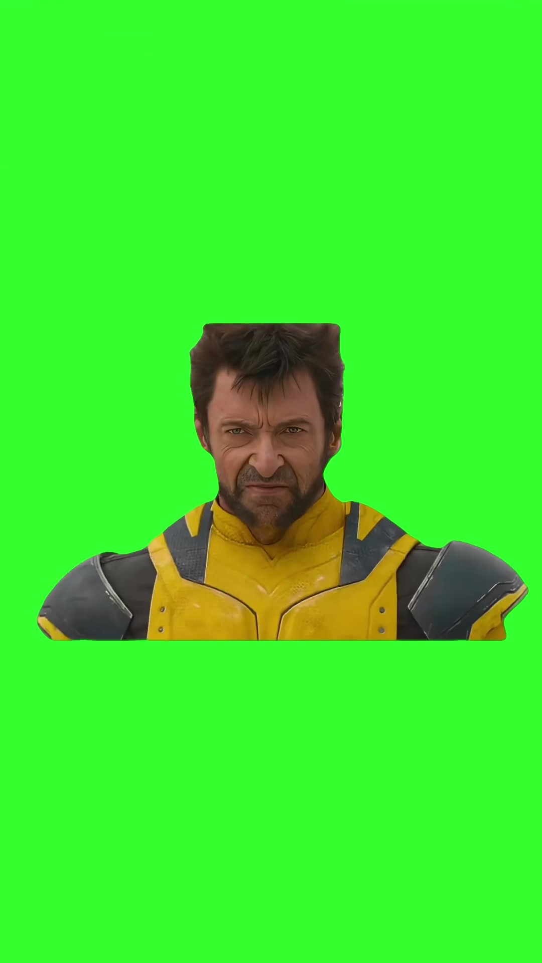 I Don’t Fcking Care green screen