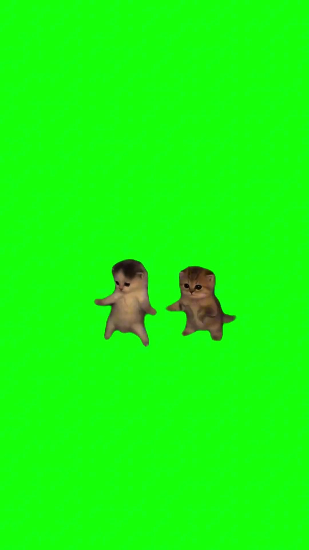 I got that feeling green screen