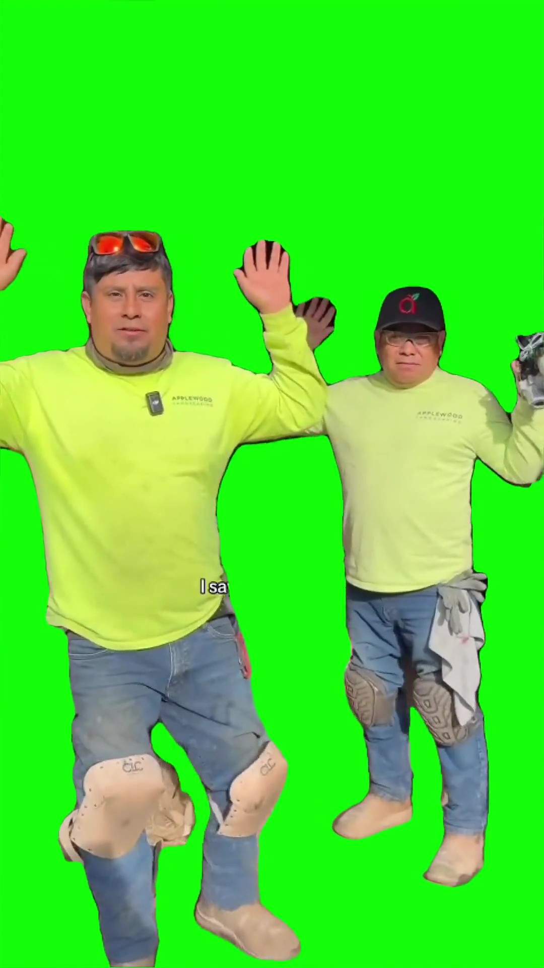 I say anything not my everything green screen