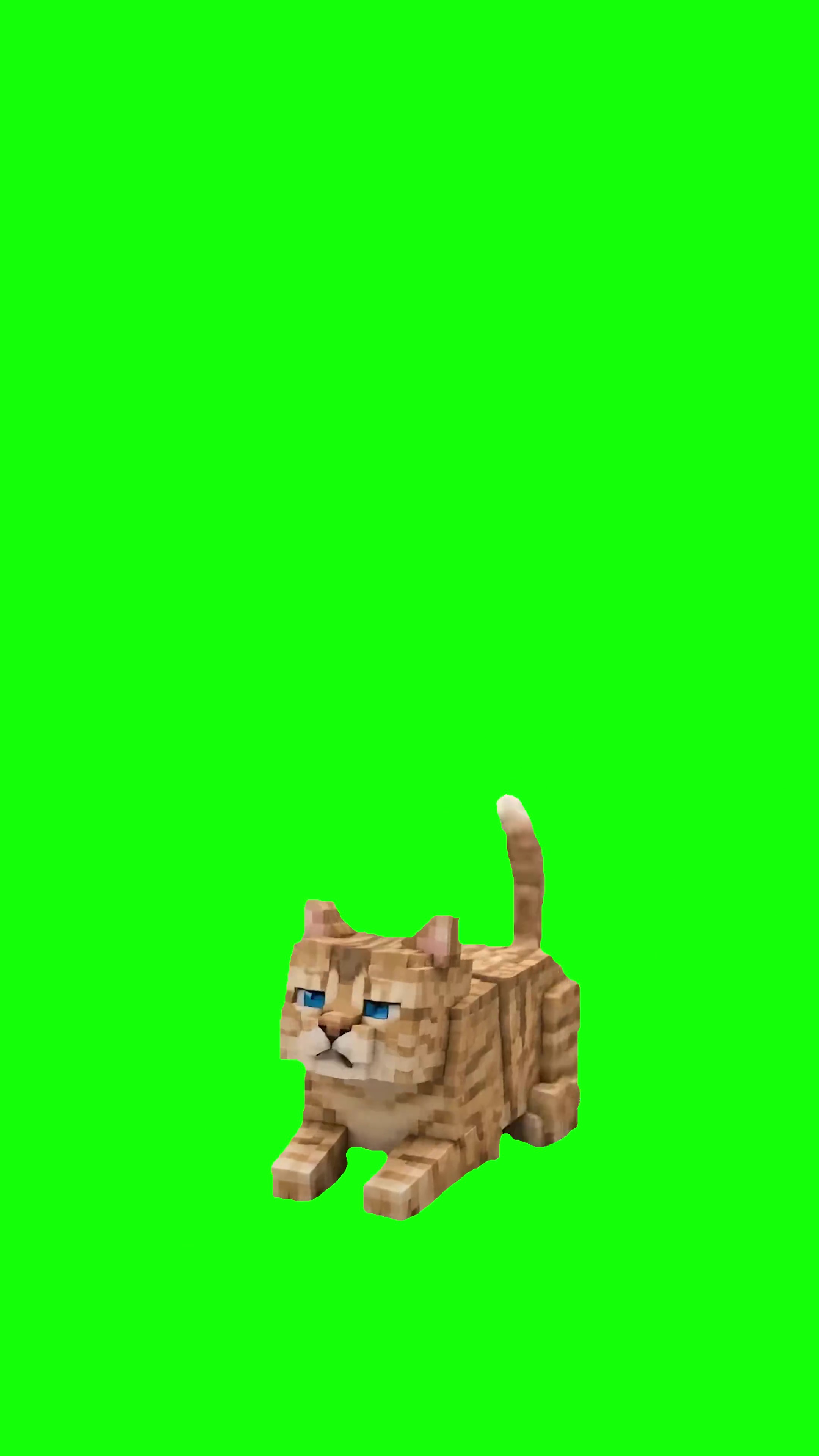 IPhone cool dih  green screen