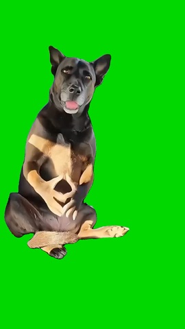 If You Grab M Imma Bite You green screen