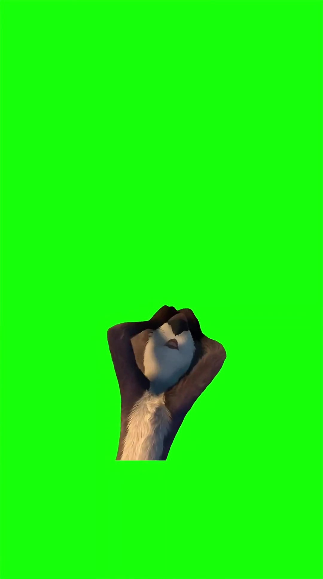 I'll do anything I'll do whatever it takes green screen