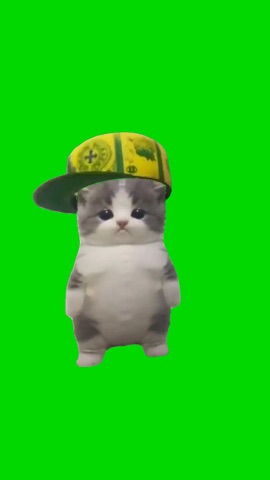 Jamal Kitten Dancing green screen
